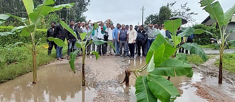 ರಸ್ತೆ ಗುಂಡಿಗೆ ಬಾಳೆ ಗಿಡ ನೆಟ್ಟು ಪ್ರತಿಭಟನೆ