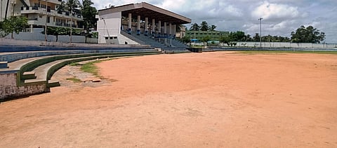 13-pnp 3