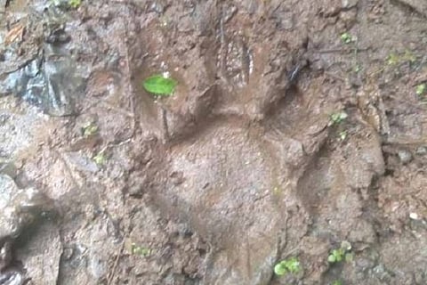 17mdks3 - Copy