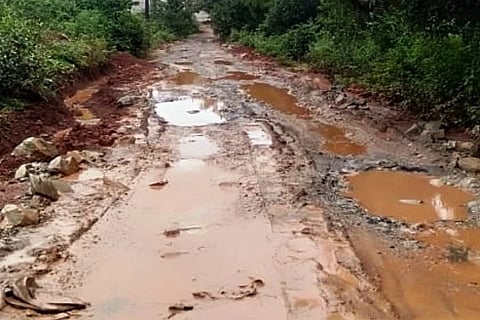 1ANKOLA1B