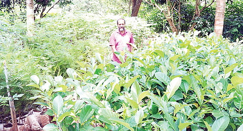 22 CRP 02