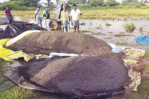 3MDG1 SURYAKANTI