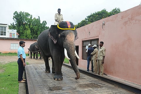 5 Mahendra