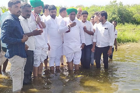 5Aratal2