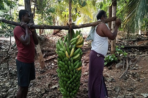Bhale_LOKESH