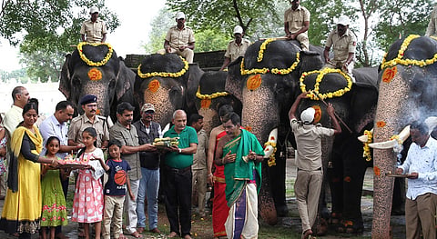 Dasara
