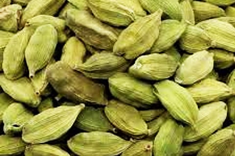 Elaichi