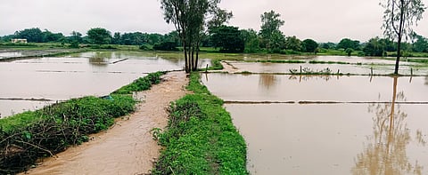 IMG_20220905_093958