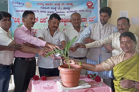 Mandya