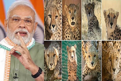 PM Modi