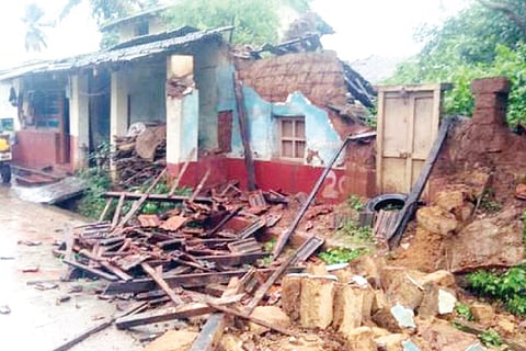 Rain Damage