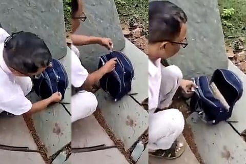School bag Cobra