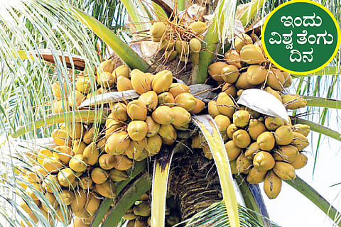 World Coconut Day