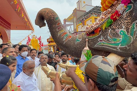 gramina dasara