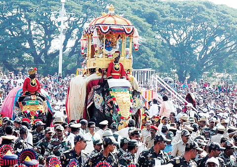jambu savari 04