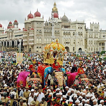 jambu savari