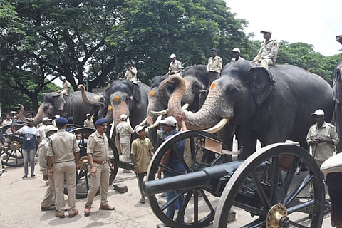 mysuru dasara aane