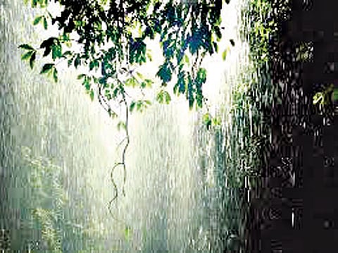 rain