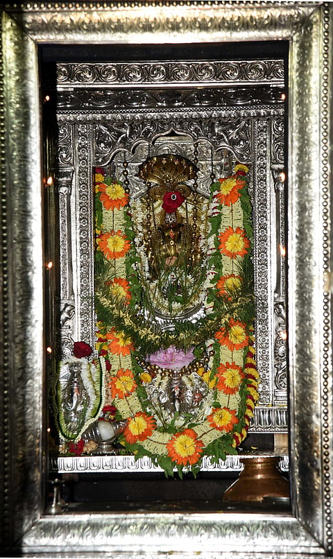 sharavu1