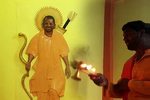 yogi