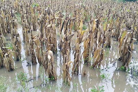 10102022 Kustagi rain