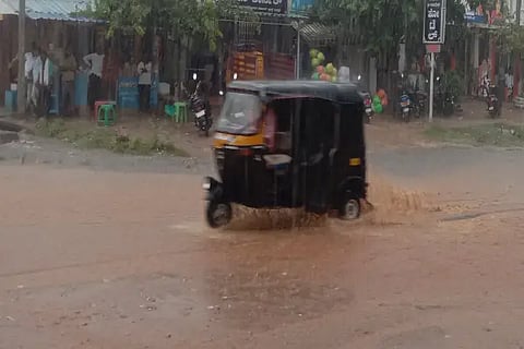 11 BIRUR 01 web