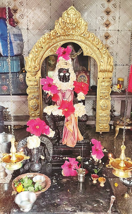 11raju2