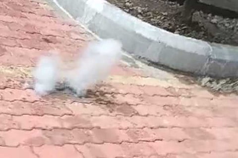 20 smg 11