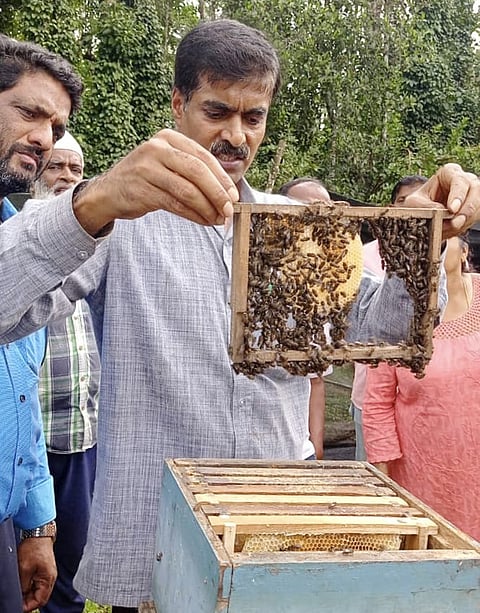 ತೋಟಗಾರಿಕೆ ಇಲಾಖೆಯಿಂದ ಜೇನು ಕೃಷಿ ಪ್ರಾತ್ಯಾಕ್ಷಿಕೆ ತರಬೇತಿ