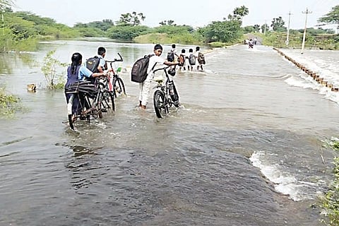22Sambaragi1