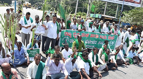 A protest was held in Mysore by sugarcane growers