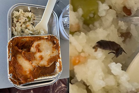 Cockroach