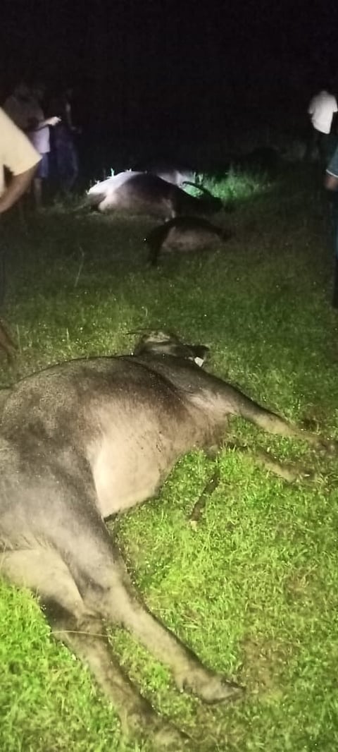 IMG-20221018-WA0021
