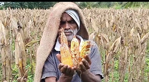 ಸತತ ಮಳೆಯಿಂದಾಗಿ ಕೃಷಿ ಚಟುವಟಿಕೆಗೆ ತೀವ್ರ ಹಿನ್ನೆಡೆ