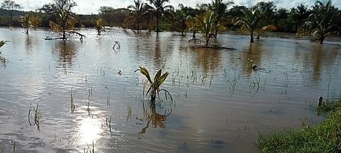 ಧಾರಾಕಾರ ಮಳೆ: ರೈತರ ಬೆಳೆಯಲ್ಲ ನೀರು ಪಾಲು