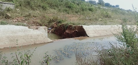 ನಾಲೆ ಏರಿ ಒಡೆದು ರೈತನ ಅಡಿಕೆ, ಬಾಳೆ ಬೆಳೆ ಅಪಾರ ನಷ್ಟ