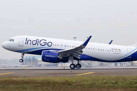 Indigo