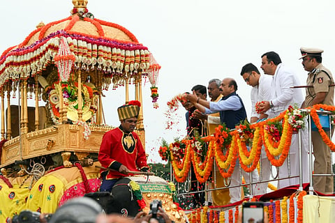 Jumbo Savari