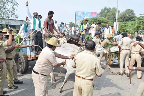 farmers-union-protest mandya