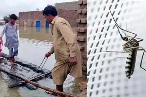 Pakisthan flood