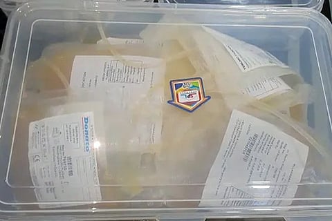 Plasma