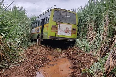 bus