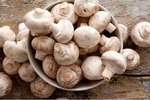 mushroom