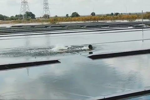 pavagada solar park rain