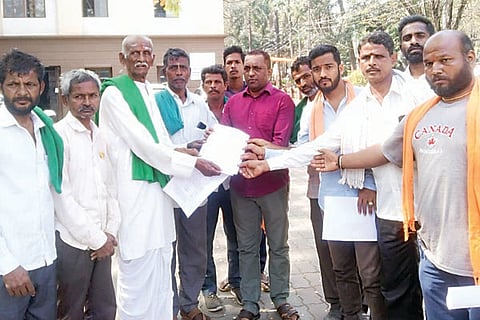16Jaggu1-web