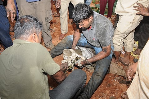 Crocodile finally captured in Mysore