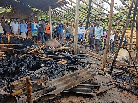 ಮನೆಗೆ ಬೆಂಕಿ; ಜಾನುವಾರುಗಳು ಬಲಿ