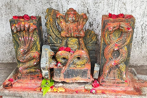 Naga