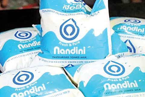 Nandini