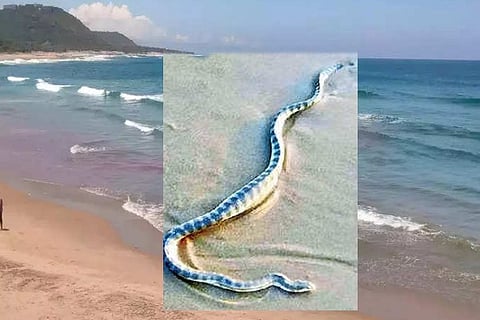 Snake